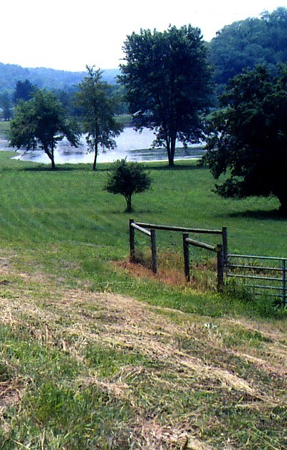 Stormwater Detention Pond