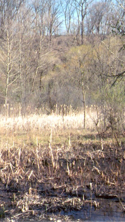 Peters Creek