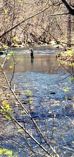 Peters Creek
