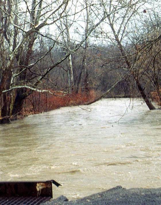 Peters Creek near flood
