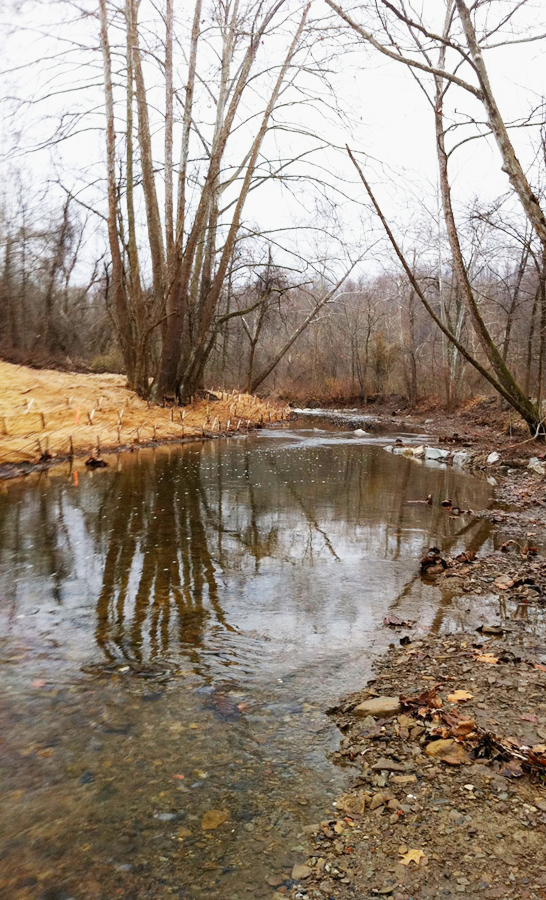 Natural Stream Channel Design